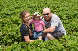 Picking strawberries at Carter's Farm in Eagle Springs