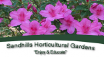 Sandhills Horticulture Gardens
